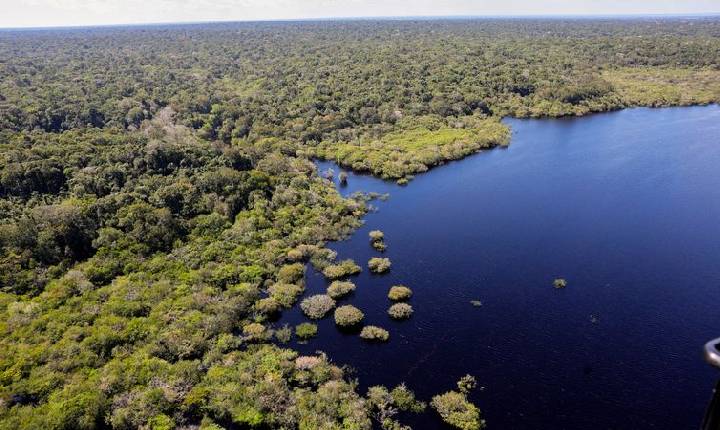 COP30: quarto leilão do Eco Invest terá foco exclusivo na Amazônia