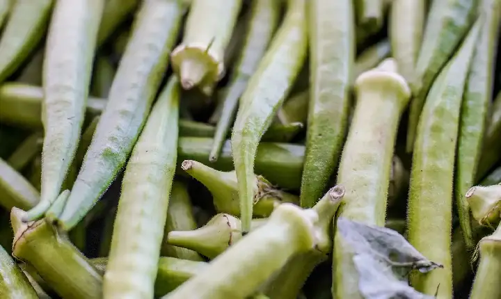 Garantia-Safra: veja lista dos que receberão pagamento em abril