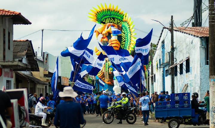 Galeria de Imagem