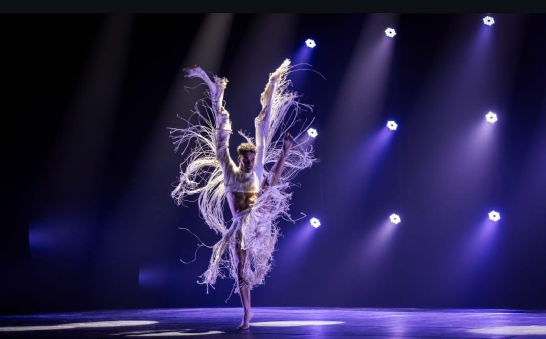 FOCUS CIA. DE DANÇA APRESENTA 
