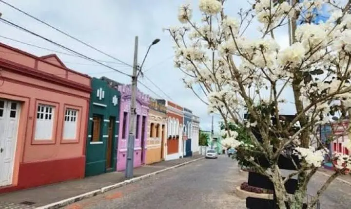 AREIA REALIZA FESTIVAL DE FLORES A PARTIR DESTA 6ª NO HOTEL BRUXAXÁ; A ENTRADA É DE GRAÇA!