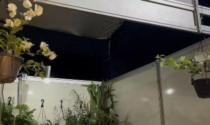 'FESTIVAL DAS FLORES' FOI SUCESSO E CELEBROU A CHEGADA DA PRIMAVERA EM AREIA, NO BREJO PARAIBANO   