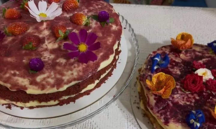 'FESTIVAL DAS FLORES' FOI SUCESSO E CELEBROU A CHEGADA DA PRIMAVERA EM AREIA, NO BREJO PARAIBANO   